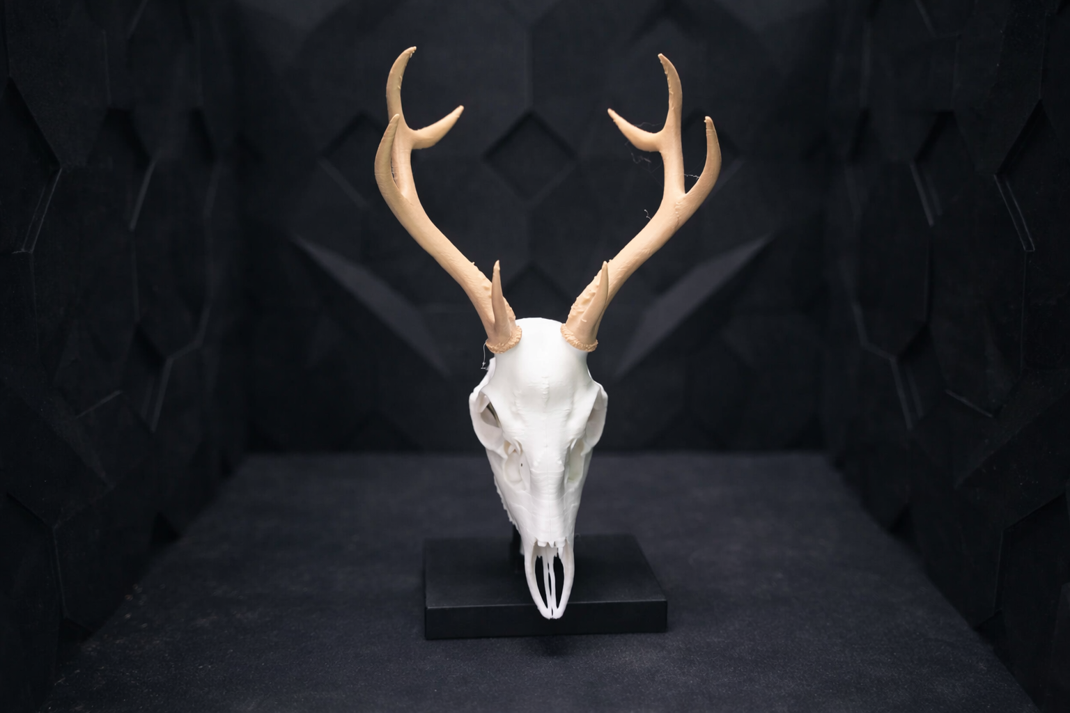Dekorativer Geweihschädel mit Sockel 3D model by AlphaPrint