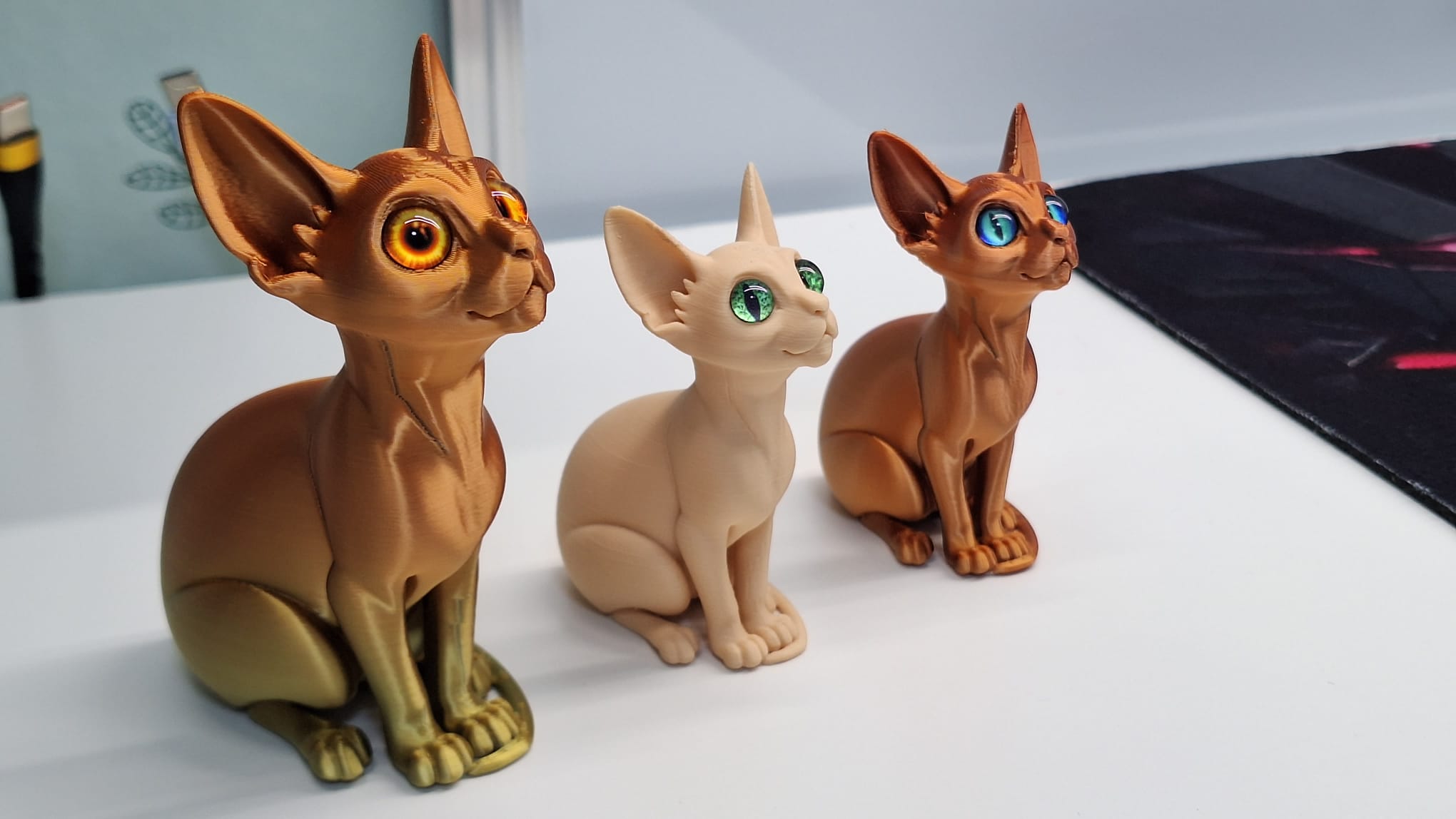 Sphynx cat with glass eyes
