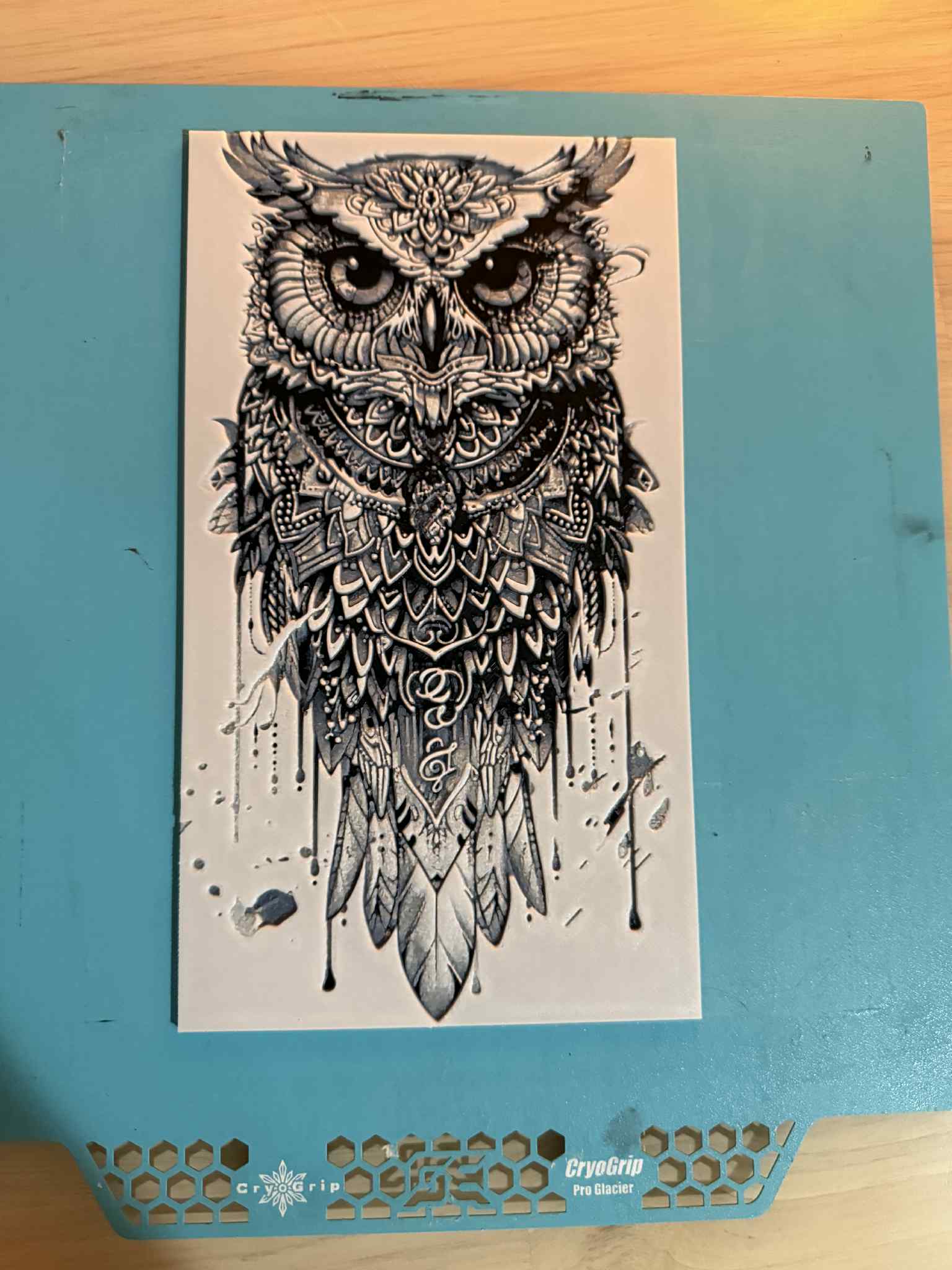 Owl