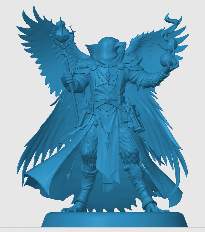 Aarakocra Warlock — miniatura 4