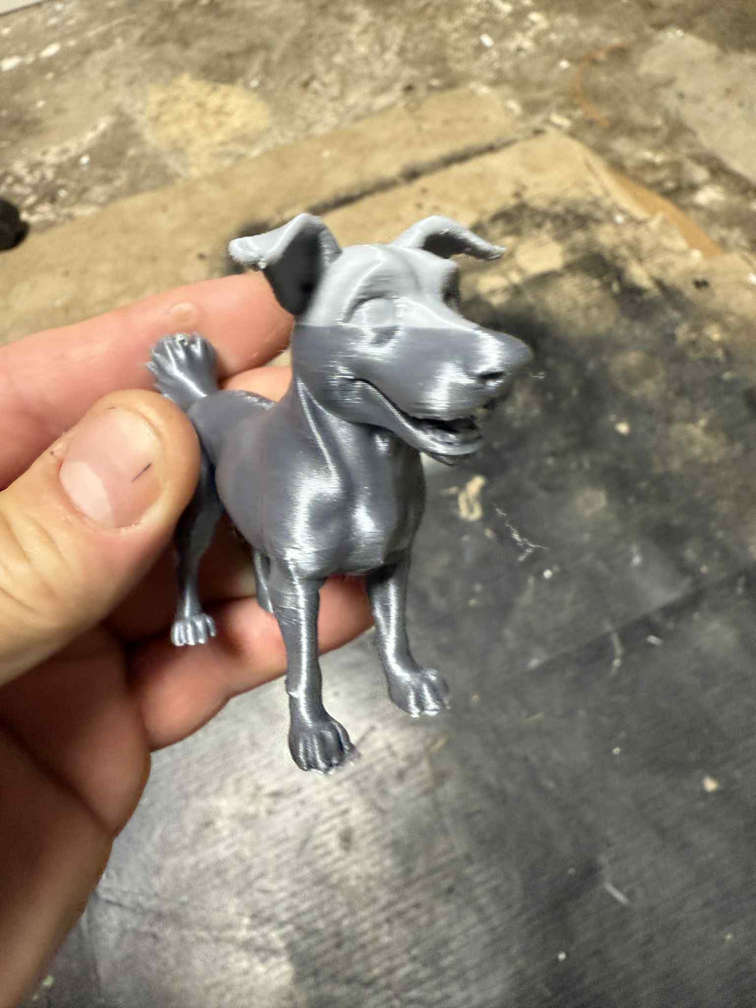 Beautiful dogs — thumbnail 4