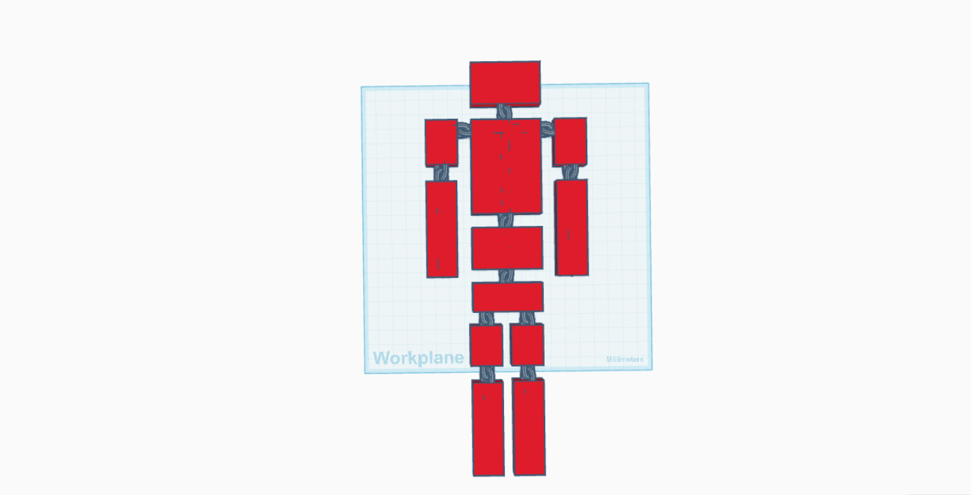 ragdoll