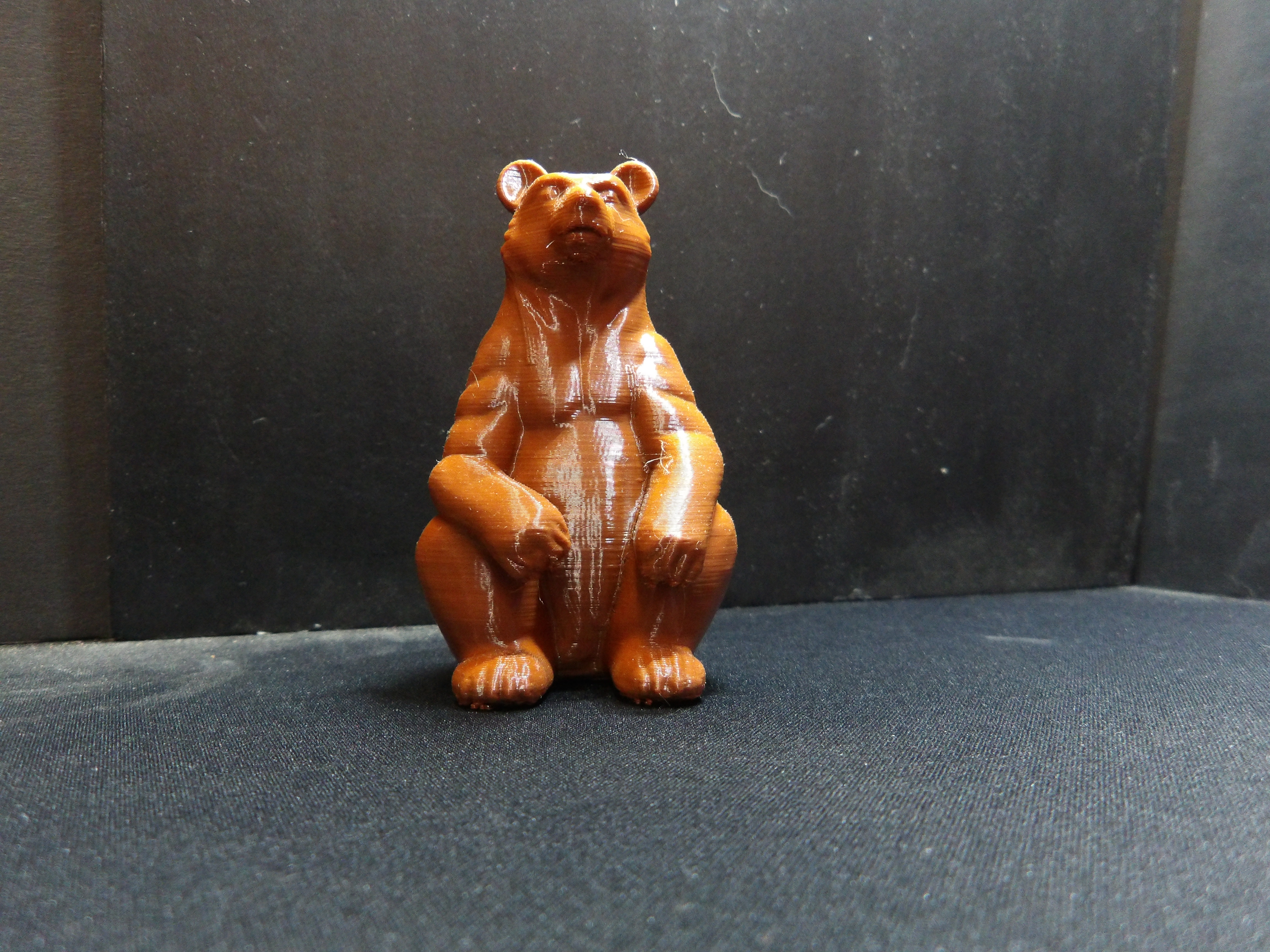 A Bear sitting up.