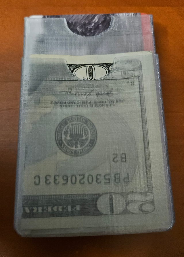 Simple TPU Wallet for Cards and Cash