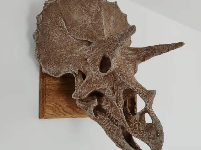 GIANT TRICERATOPS HEAD