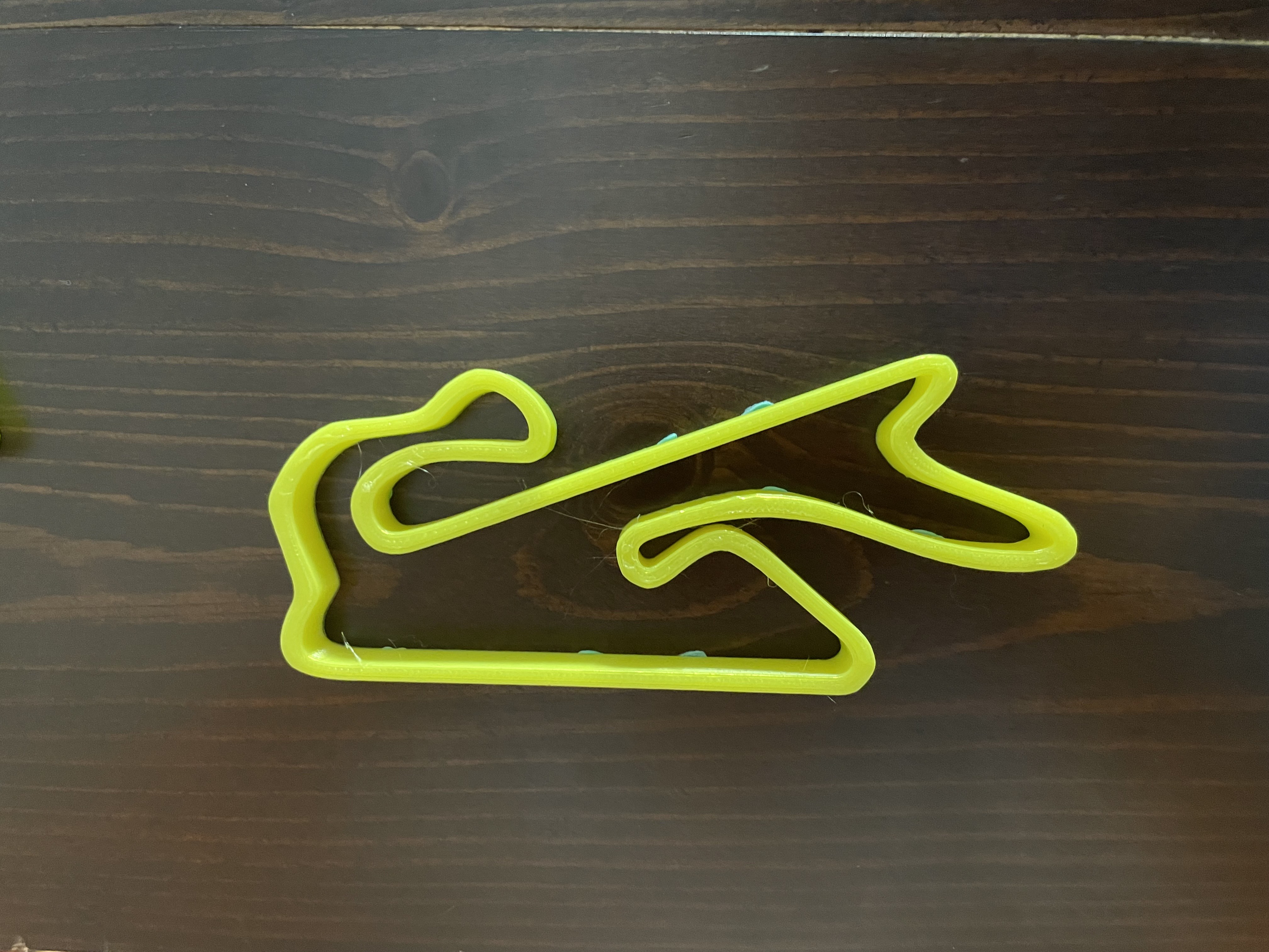 Dubai Autodrome Track