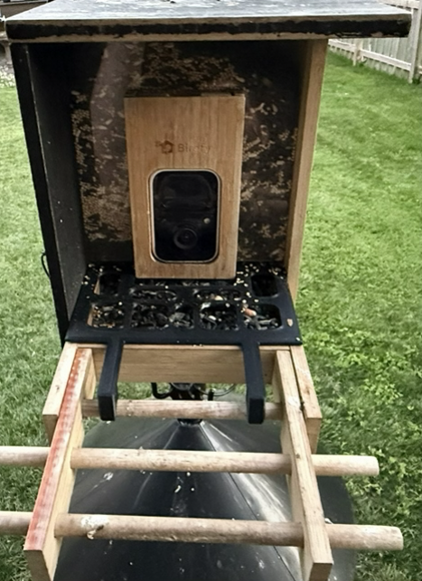 Birdfy Bamboo Mini Seed Guard