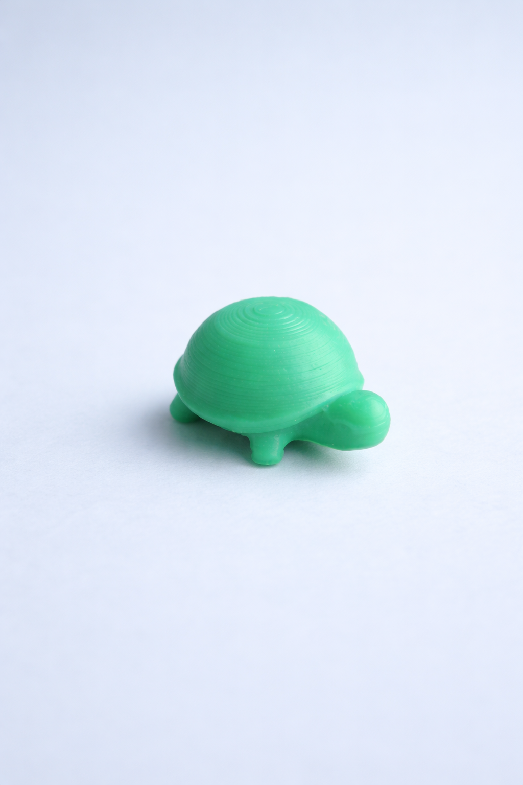 Miniatura 2 do modelo 3D Mini Turtle Buddy