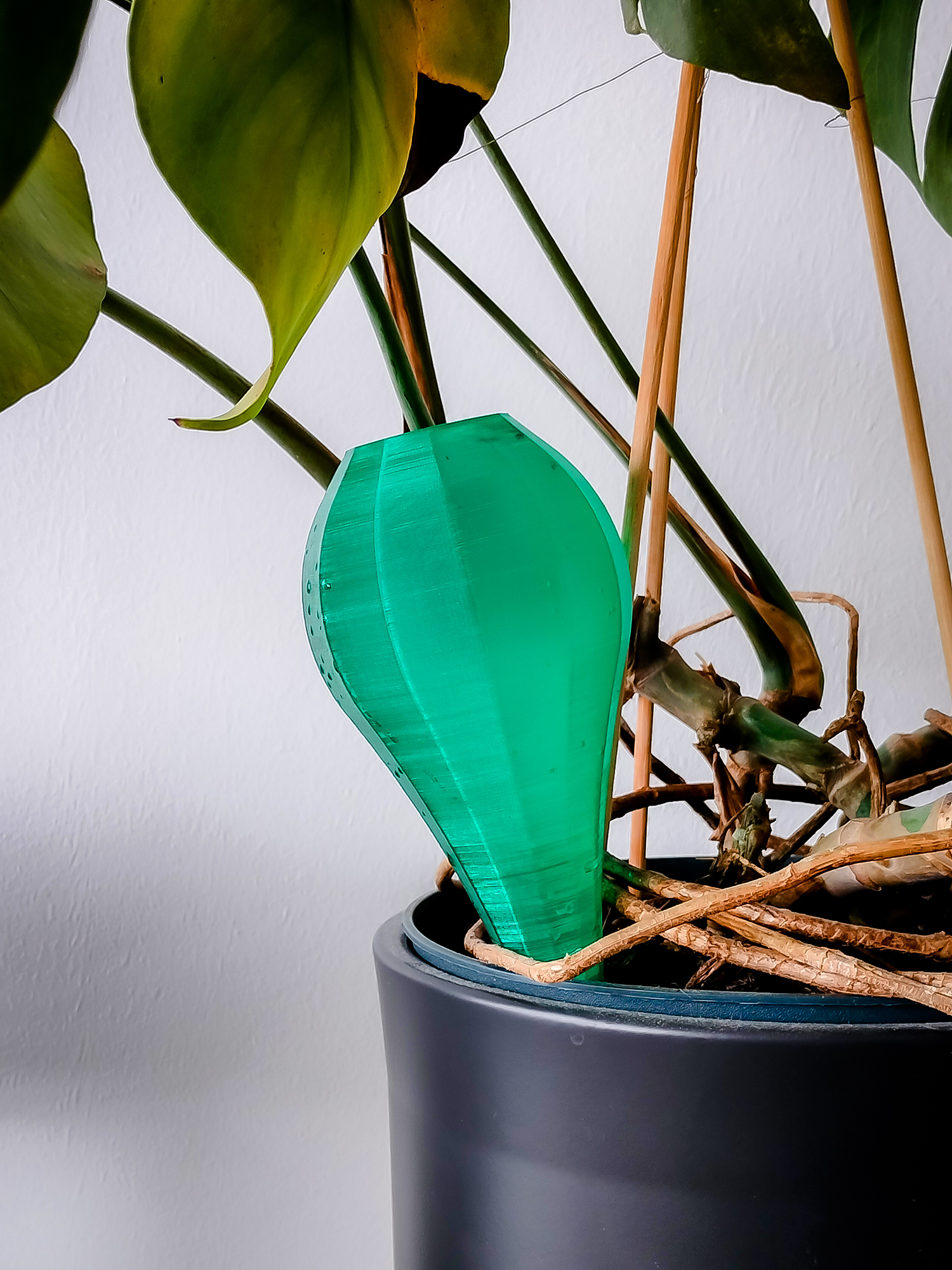 3D модель Куля для поливу рослин — 3D-друкована | Plant Watering Globe | Для дому Львів — 3D друк Львів