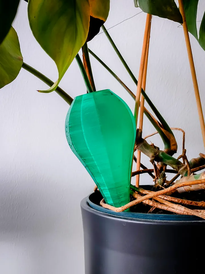 lowes fiddle leaf fig Fiddle Leaf Fig  Yardwork