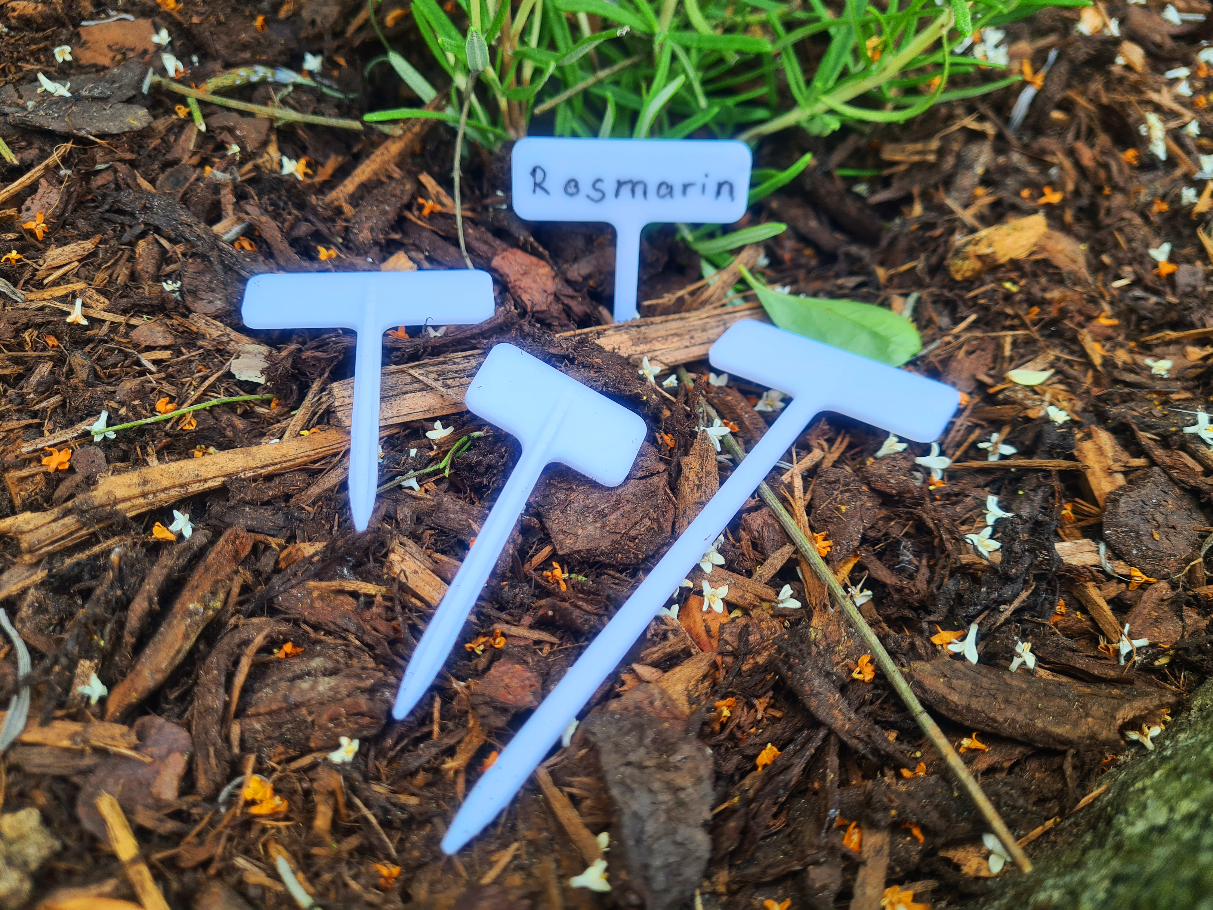Herb/Plant Label Signs (different sizes)