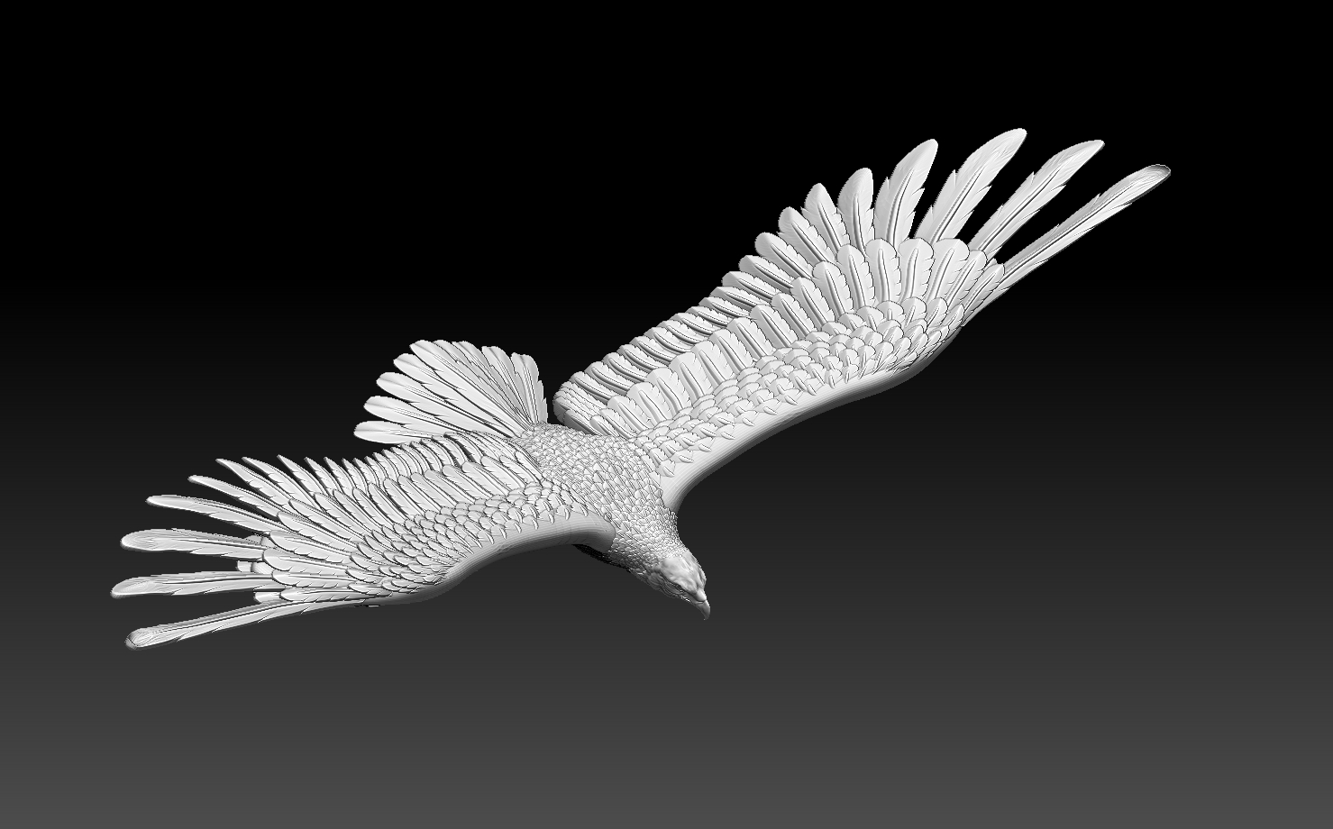 eagle
