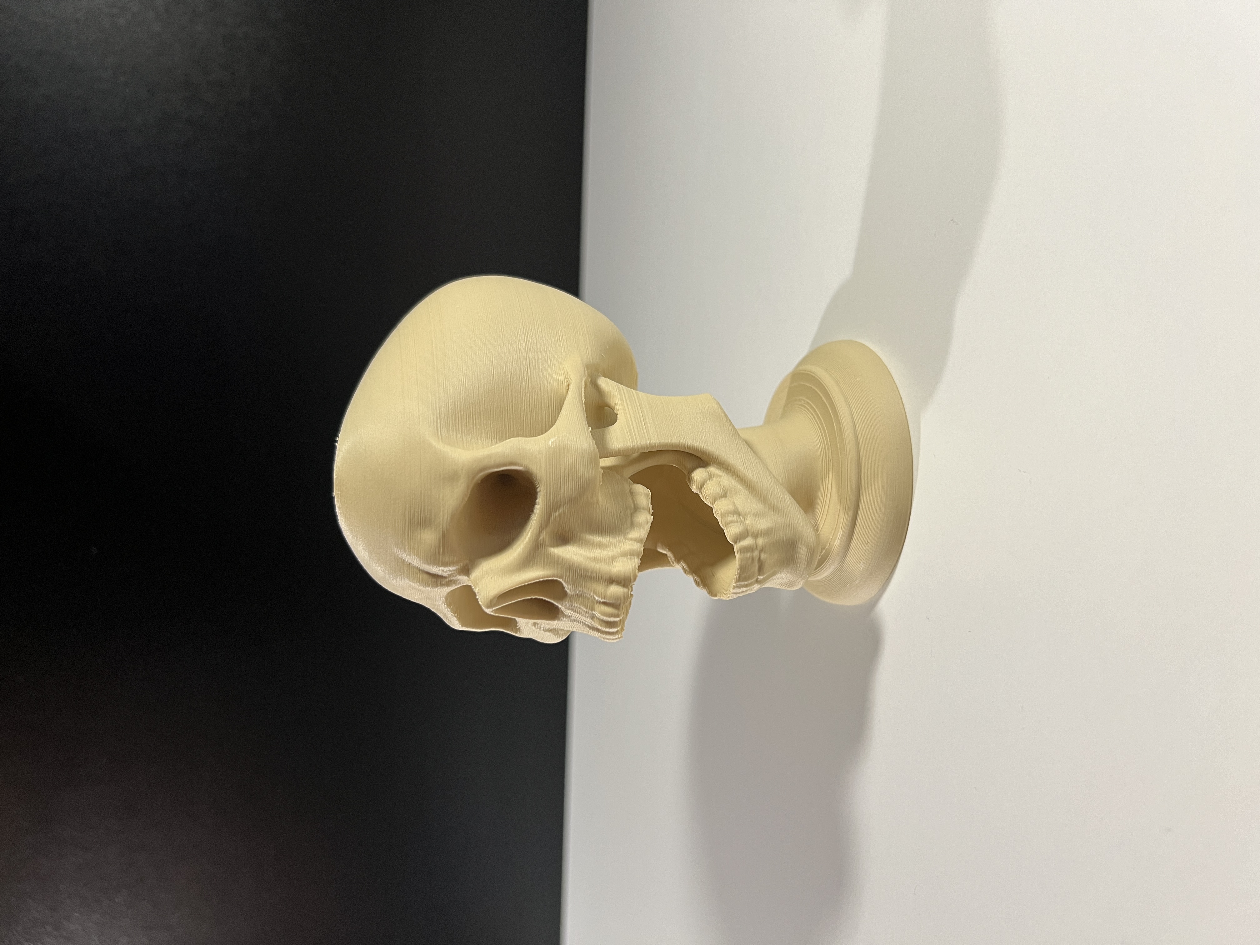 Screaming Skull — miniatura 4