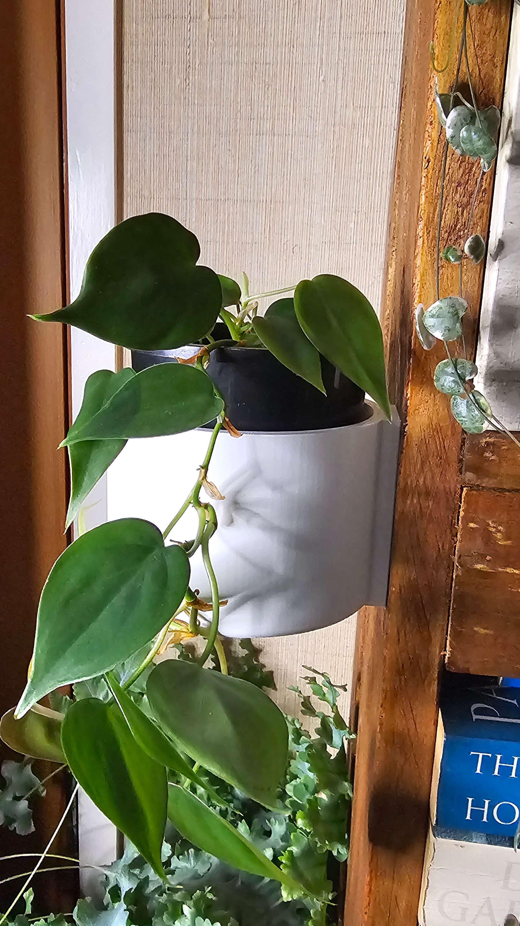 Slide‑On Wall Planter Cup