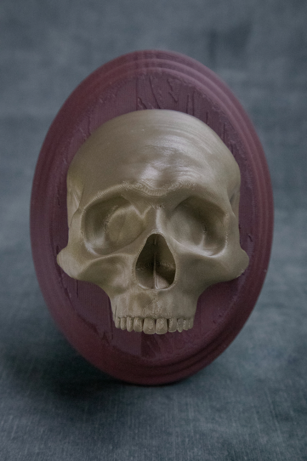 Skull Sconce (Pre Supported) — miniatura 2