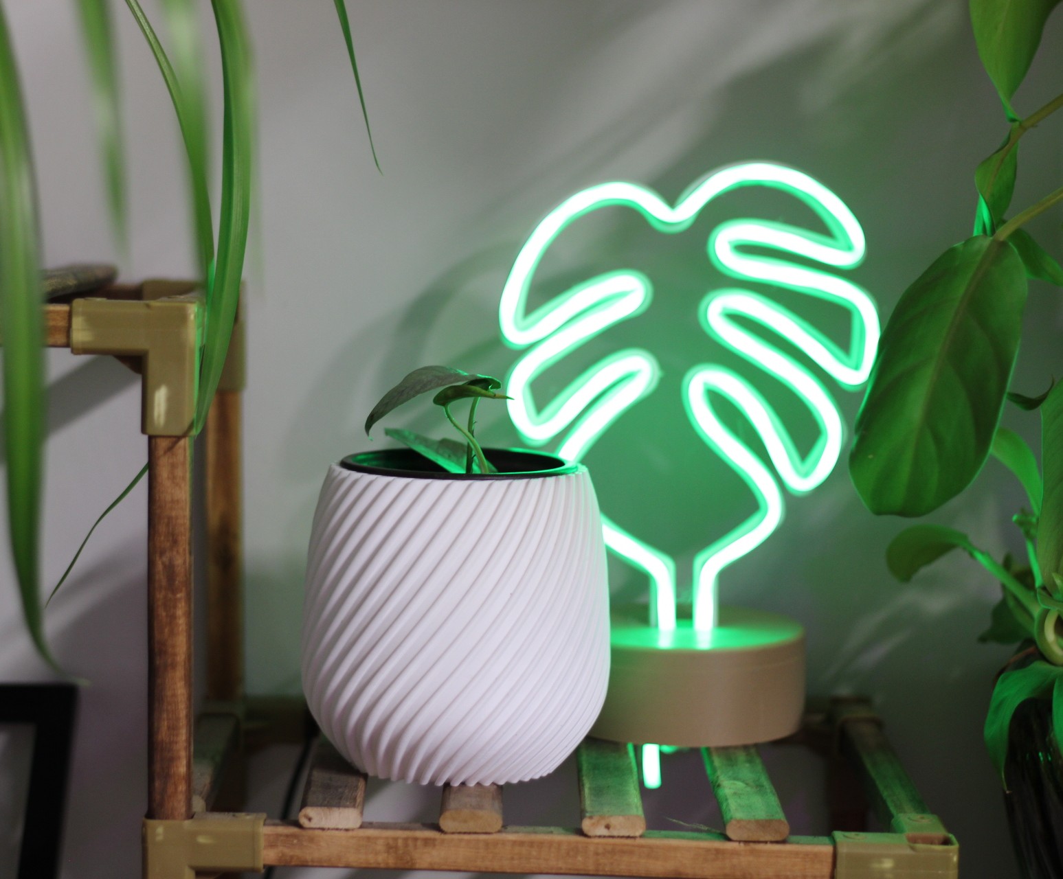 Spiral Planter