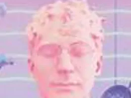glass animals pic