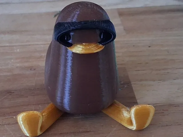 Spooner from pool-ducks