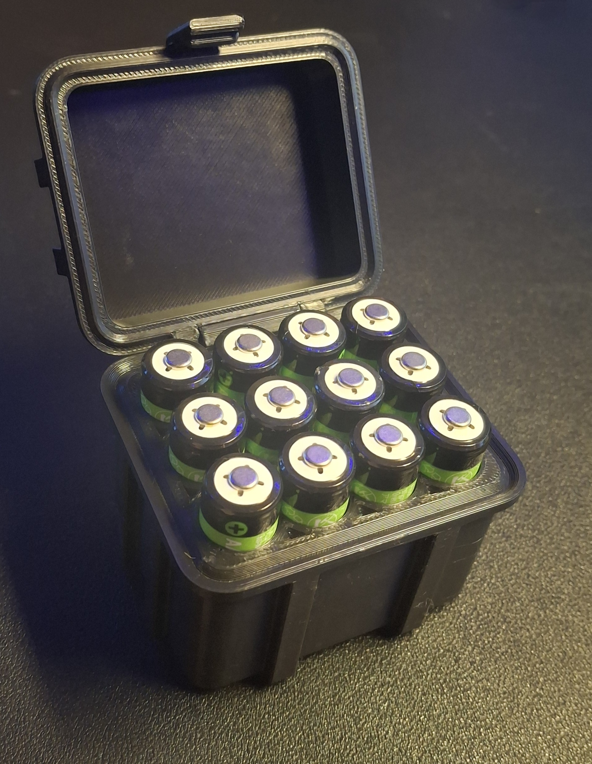 AA Battery Rugged Box