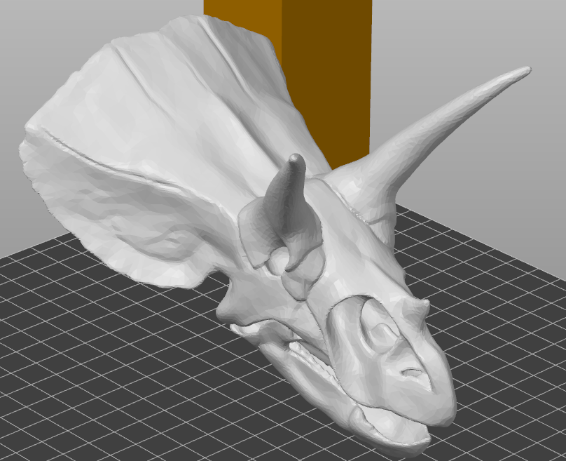 Triceratops