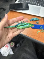 helicopter