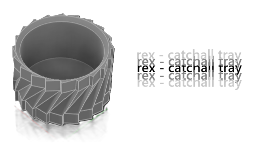 rex - catchall tray