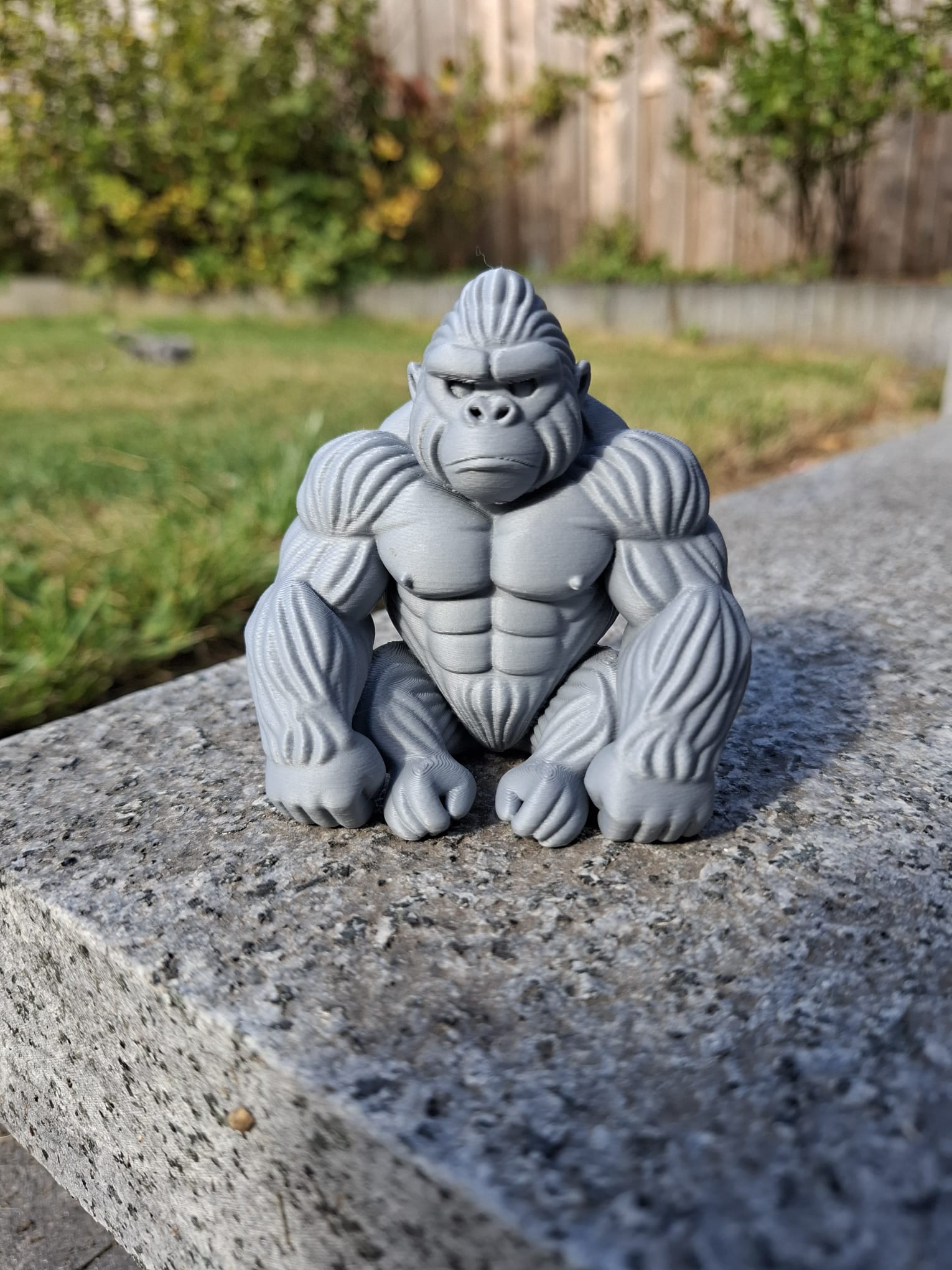 Chill Gorilla — Desk Guardian