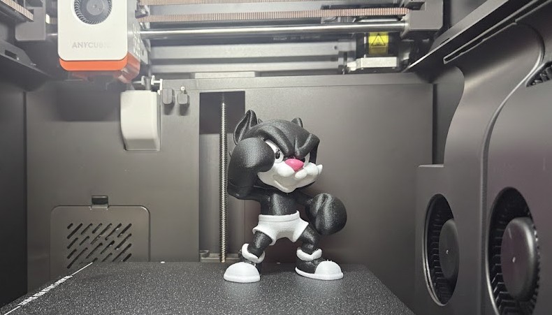 Boxer Sylvester the Cat