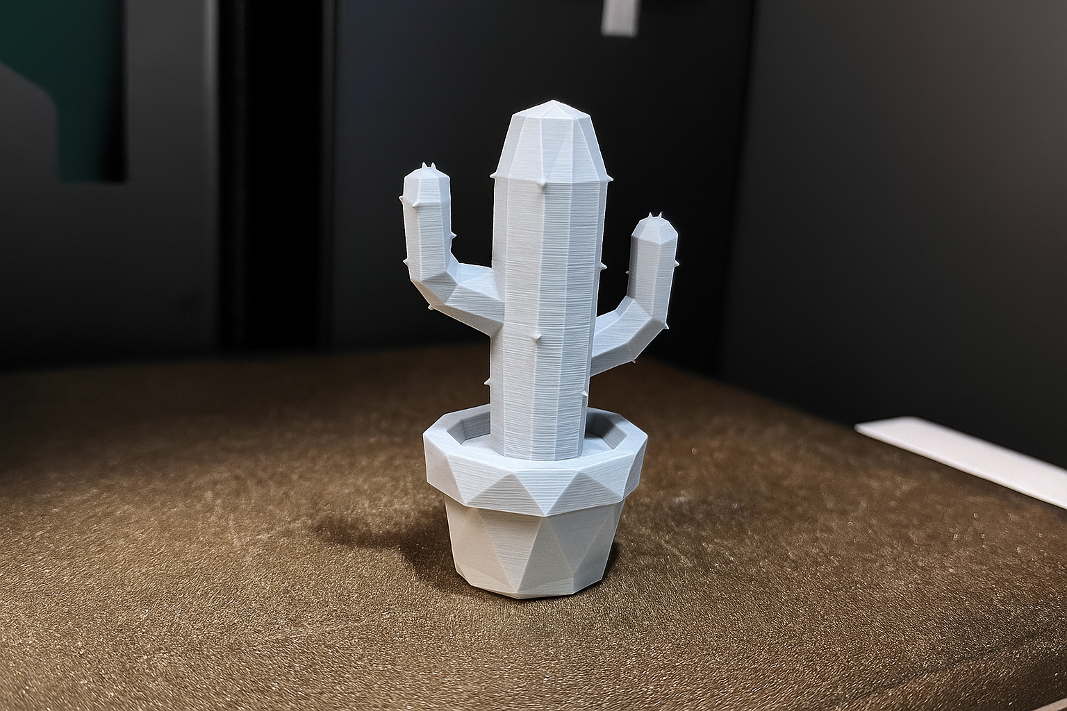 Cactus