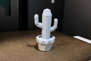 Cactus