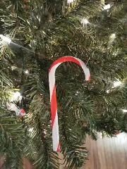 Candy Cane Multi-Color Print