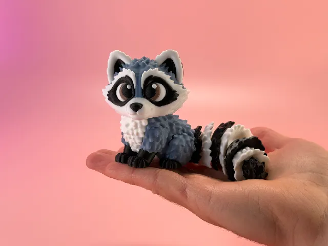 Cute Raccoon