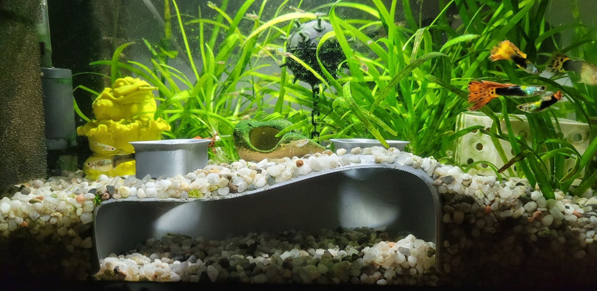 Aquarium Cave Tunel