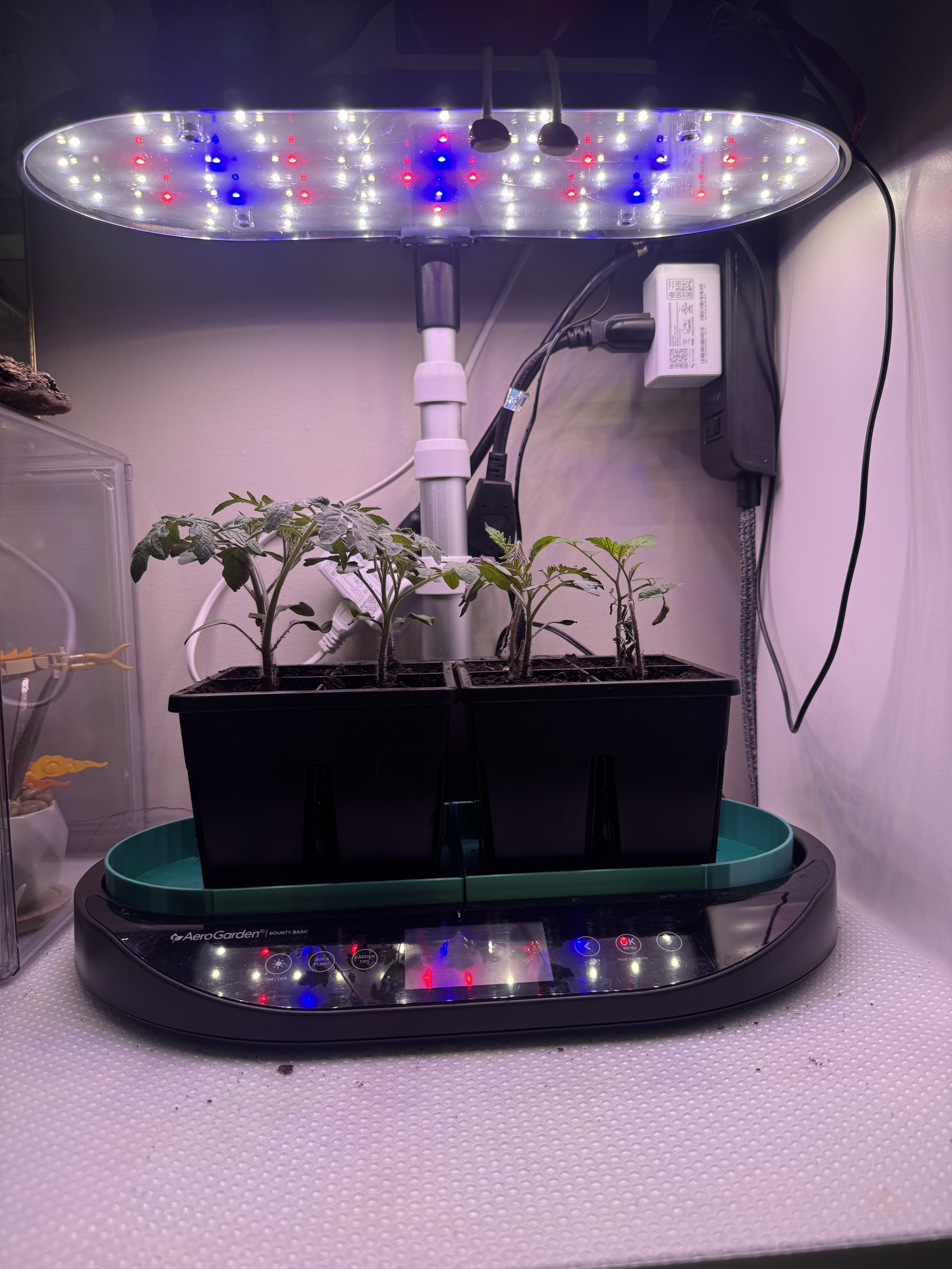 AeroGarden Bounty Drip Trays