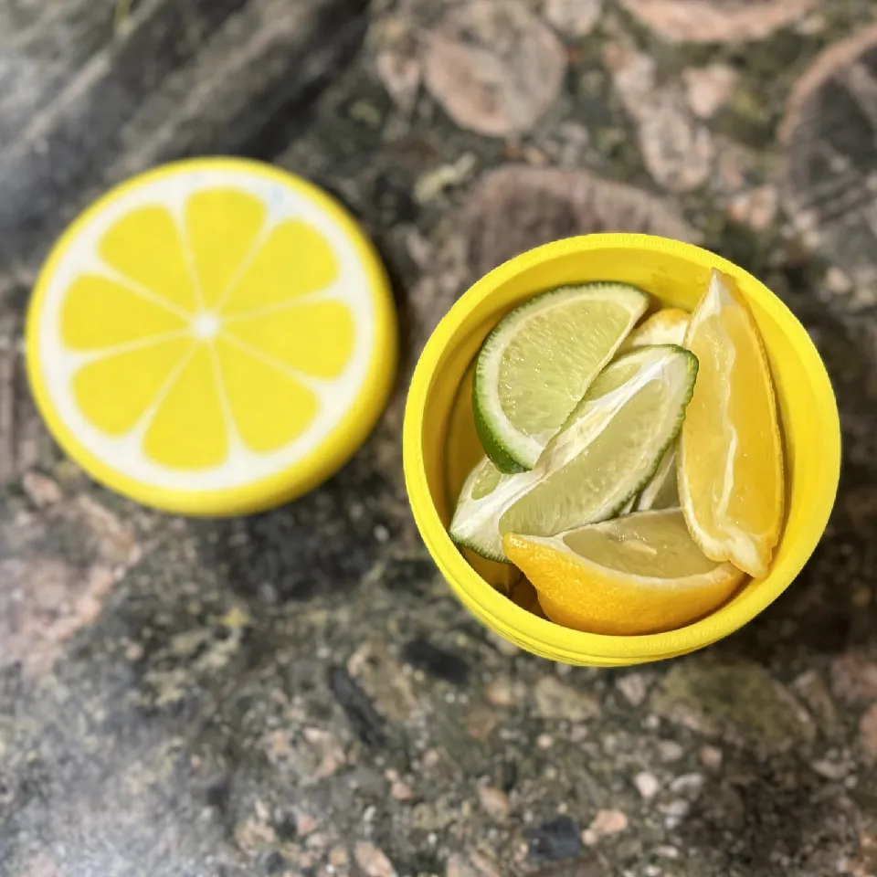 Citrus Fruit Container by CodyDSS | Download free STL model