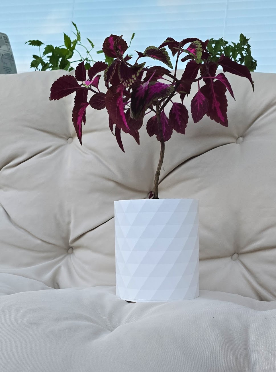 Faceted Geometric Flower Pot