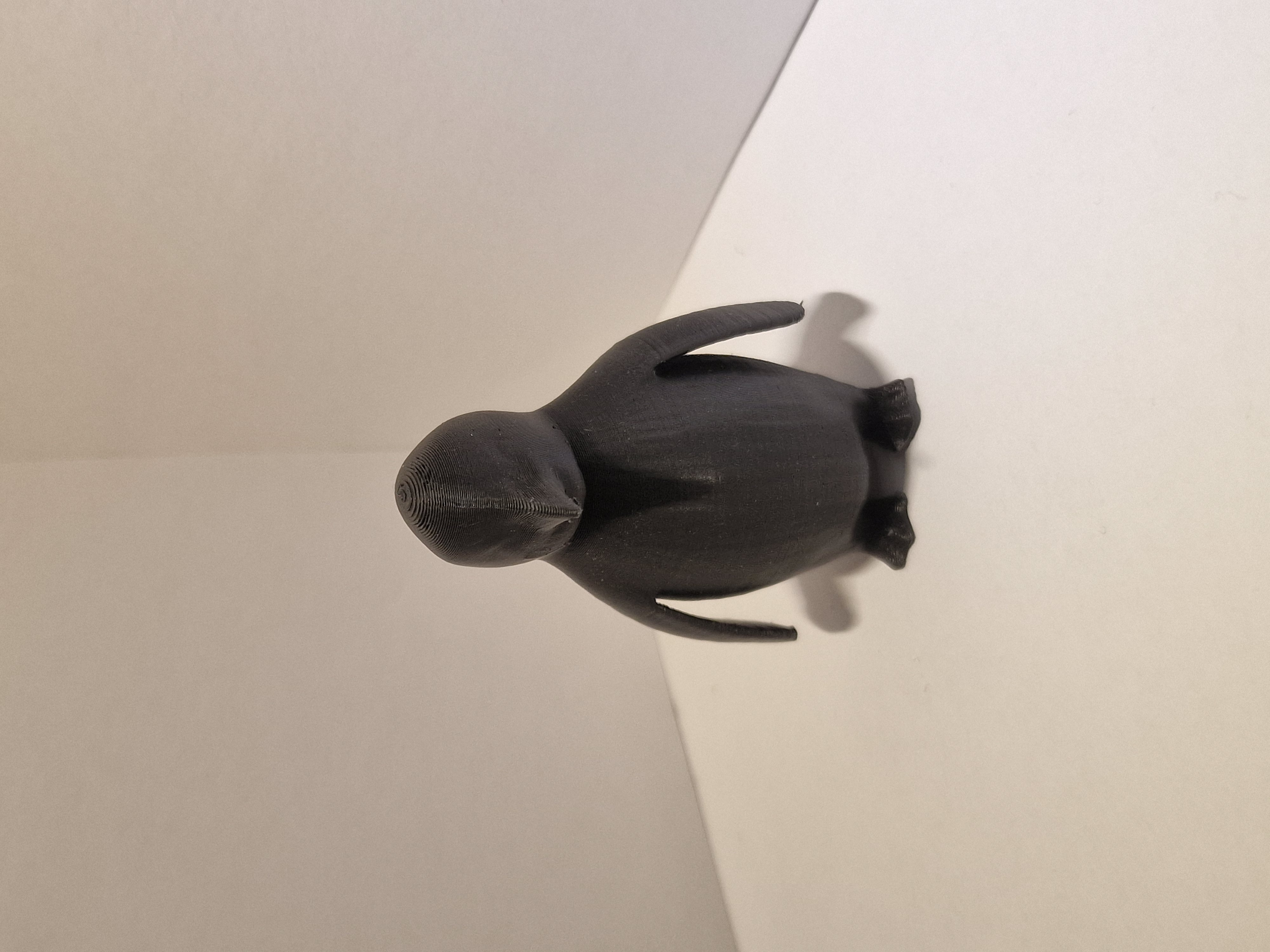 But why? Penguin — thumbnail 3