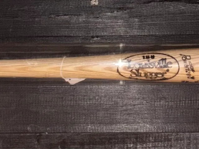 Incased Baseball Bat Wall Mount