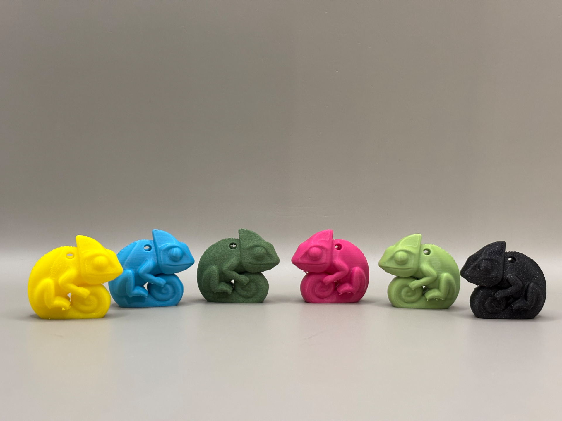 Kilo – 30 min – The Chubbiest Chameleon Cutie