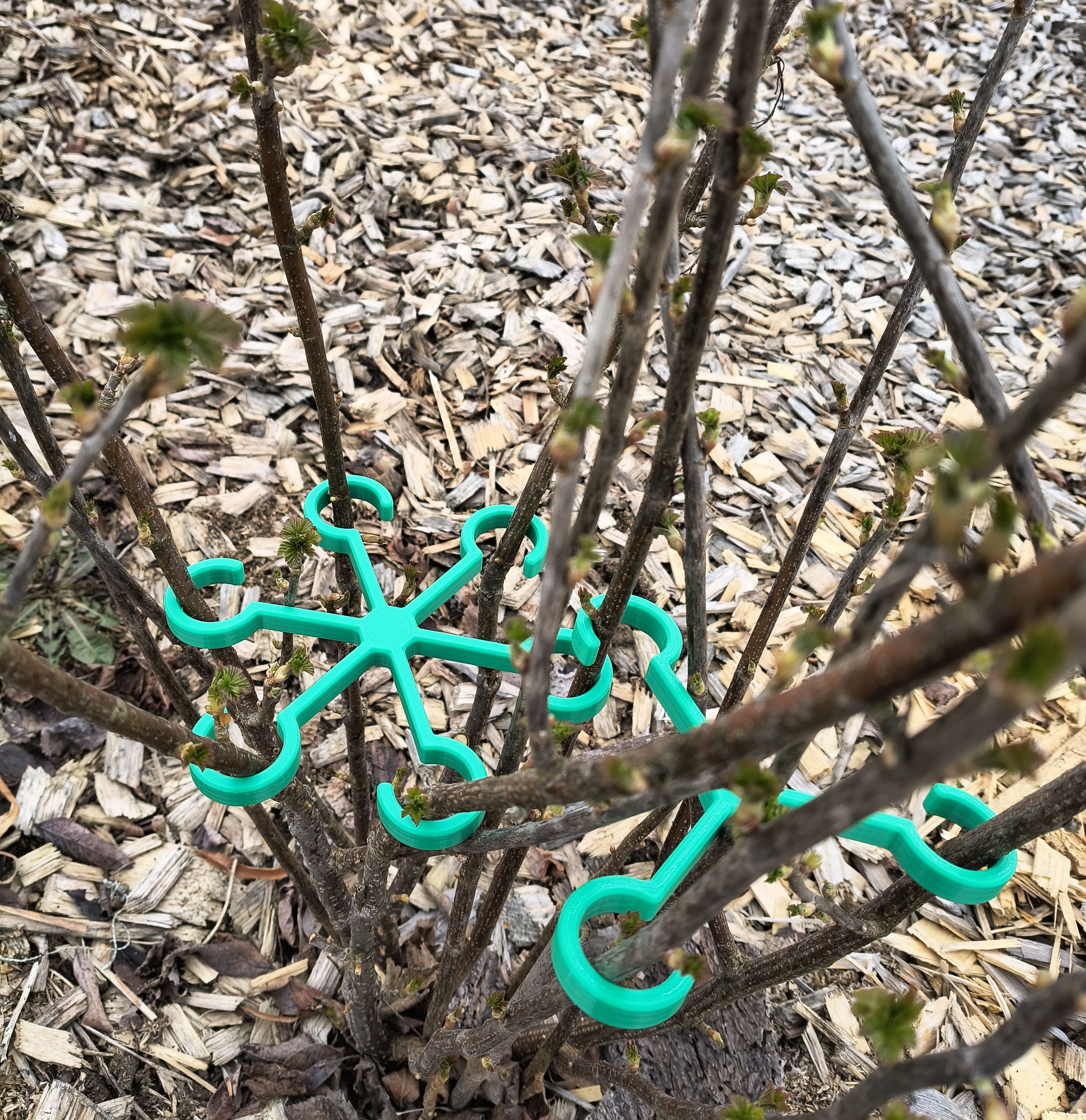 Stem and twig holder / limiter / shaper for various bushes, trees or plants