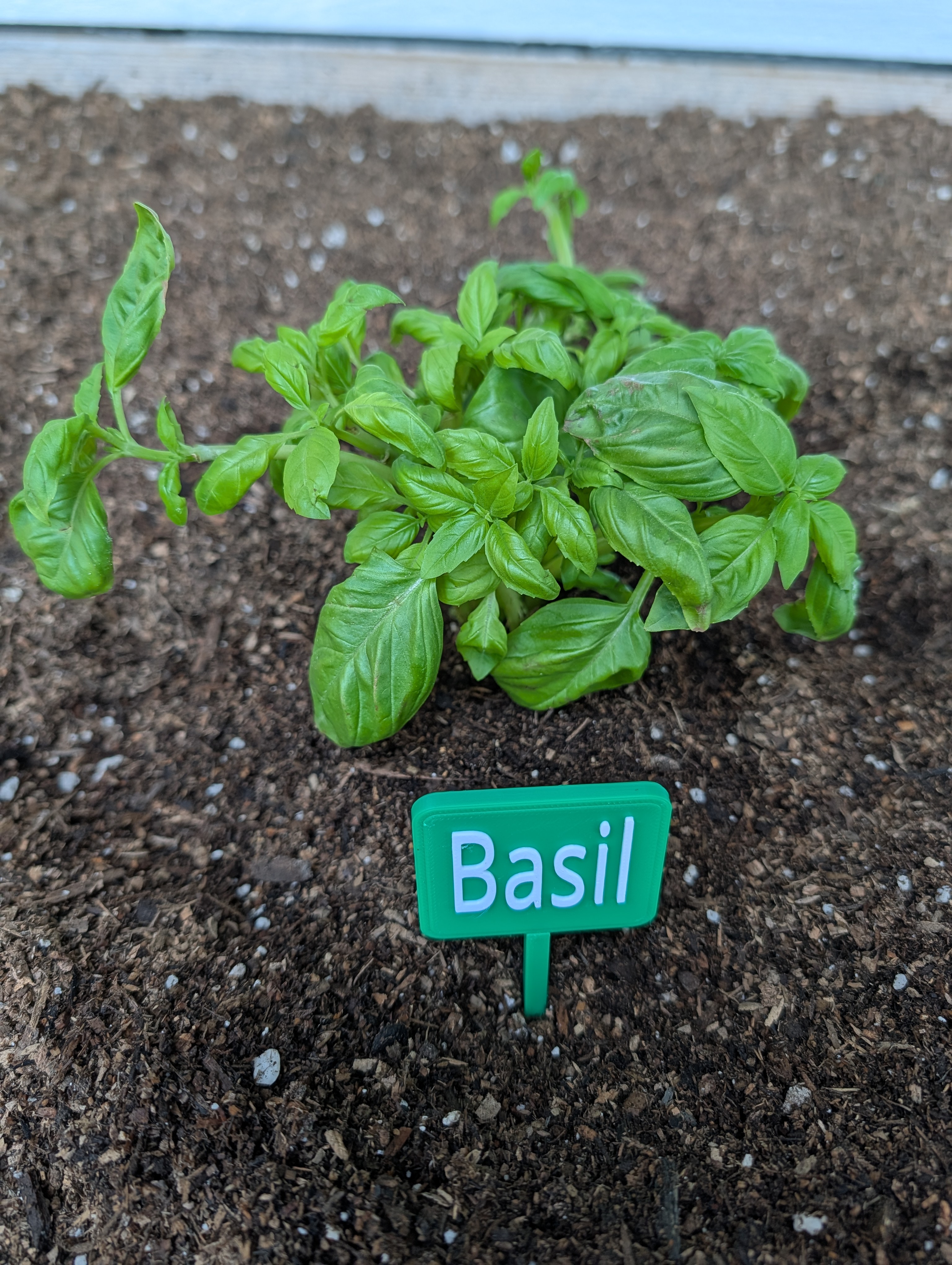 Basil Garden Label – Easy No-Support Print