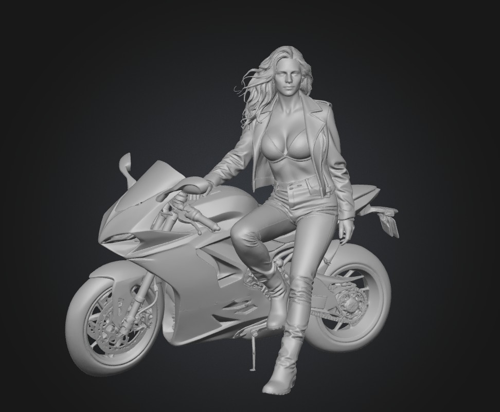Snowbound Ducati Rider
