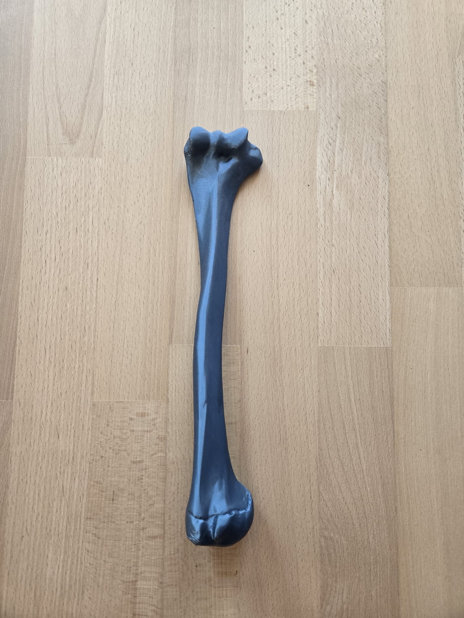 Humerus Bone Left