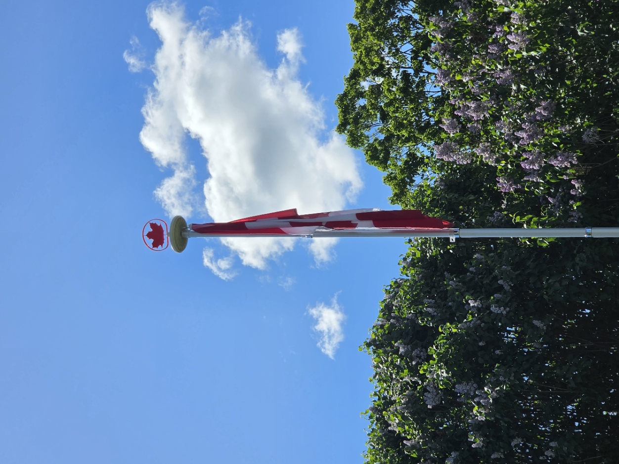 Flagpole maple leaf