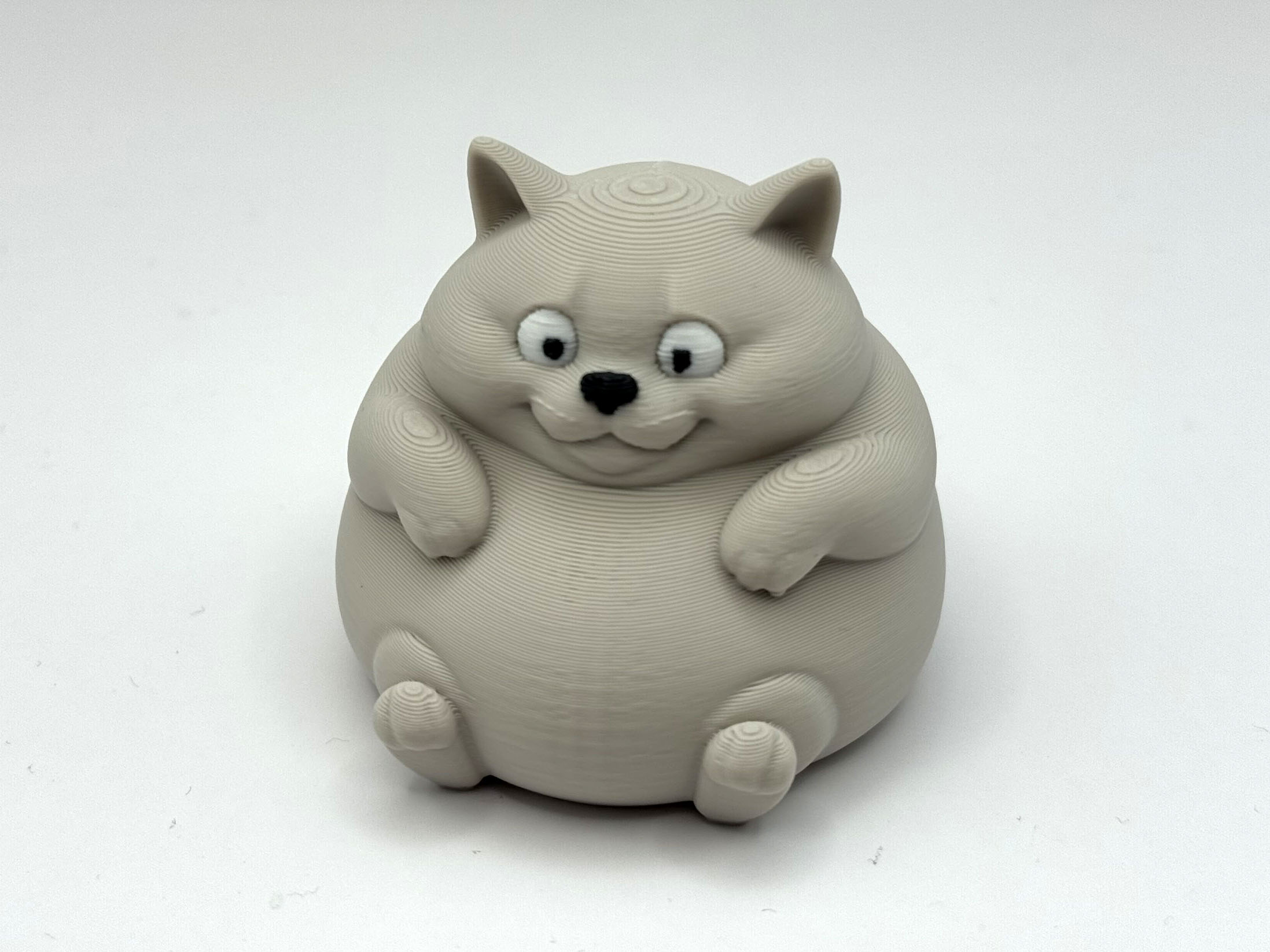 Sitting Chonky Cat
