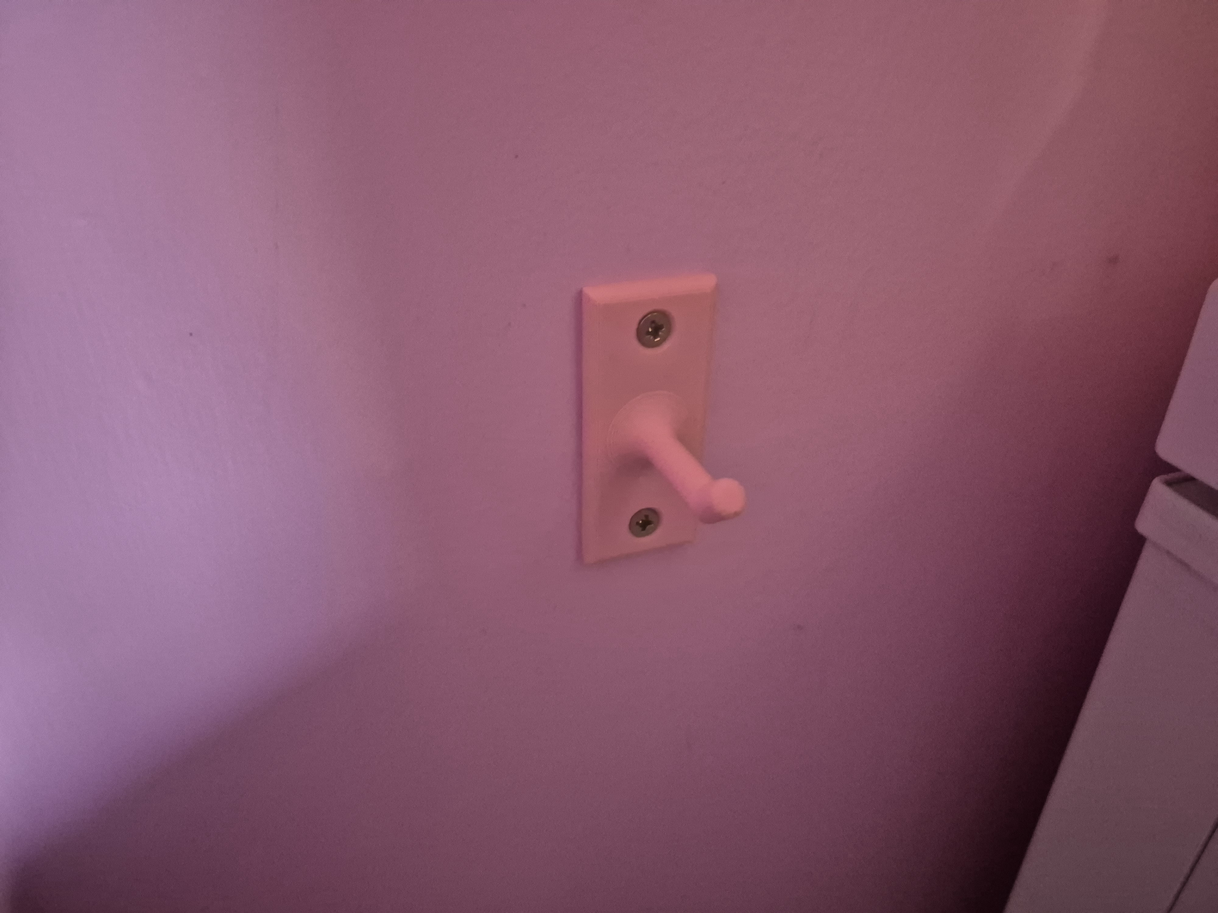 Dustpan hook