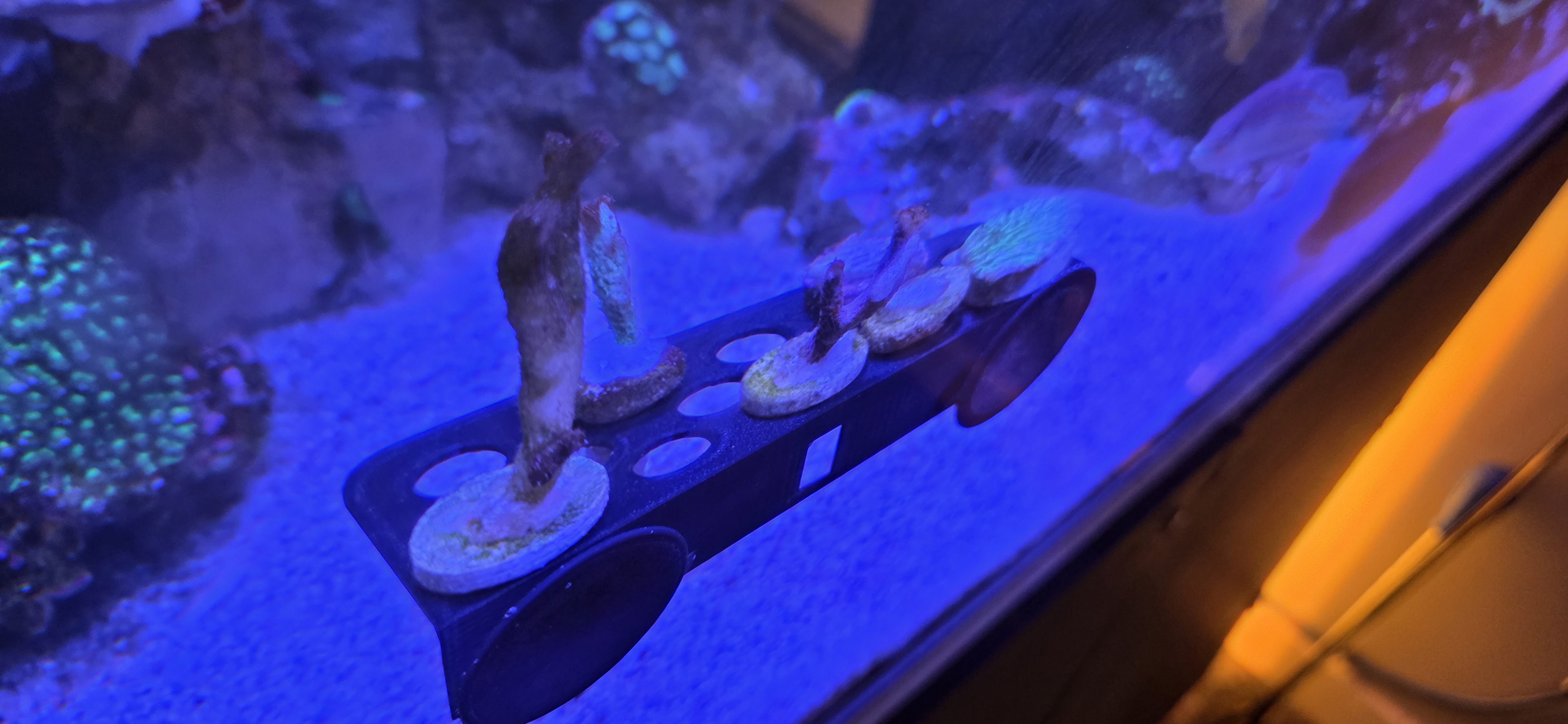 Frag Rack