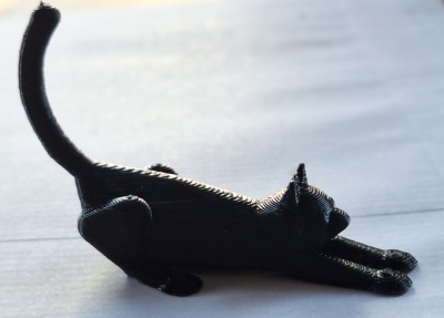 Miniatura 2 do modelo 3D Stretching Cat
