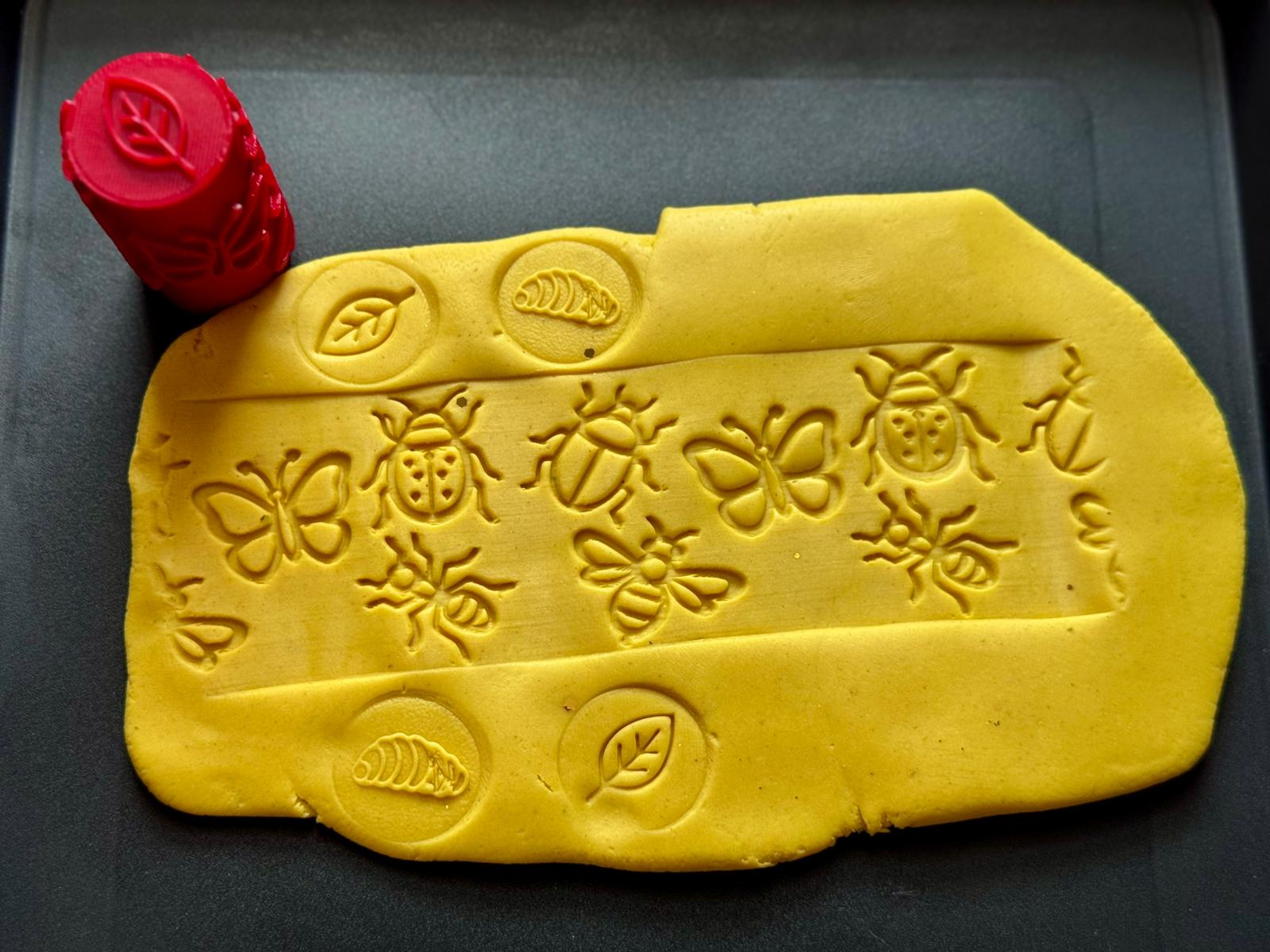 Sensory Texture Roller | Insect