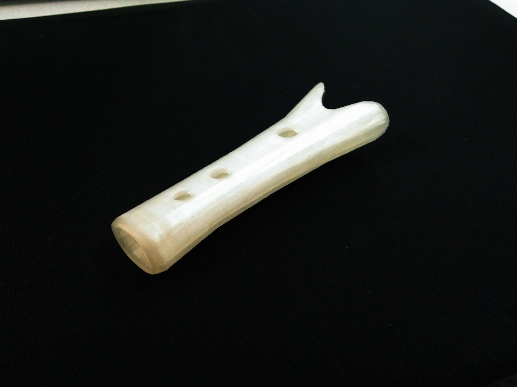Worlds oldest instrument (Divje babe flute)